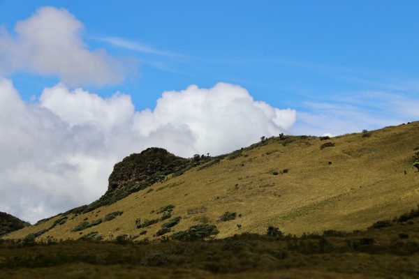 aberdares-national-park-safari